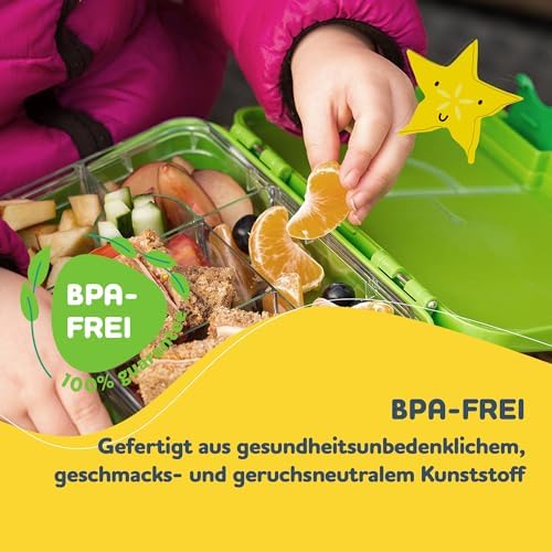schmatzfatz Brotdose Kinder BPA-frei und auslaufsicher – perfekte Lunchbox für die Schule mit Fächern