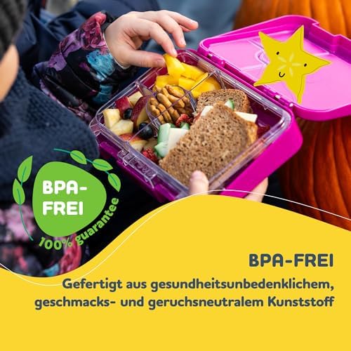 schmatzfatz Brotdose Kinder BPA-frei und auslaufsicher – perfekte Lunchbox für die Schule mit Fächern